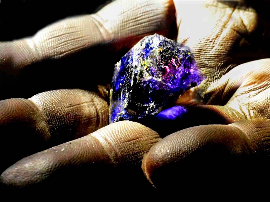 Assorted sizes of natural Tanzanite stones on a white background